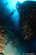 Ambiance Epave-Bonaire Hilma Hoocker-20m-20180220-Denis-ADER-DSC_7006_tn